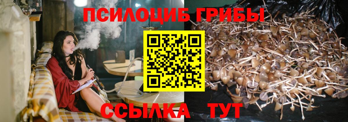 Псилоцибиновые грибы ЛСД Бирск