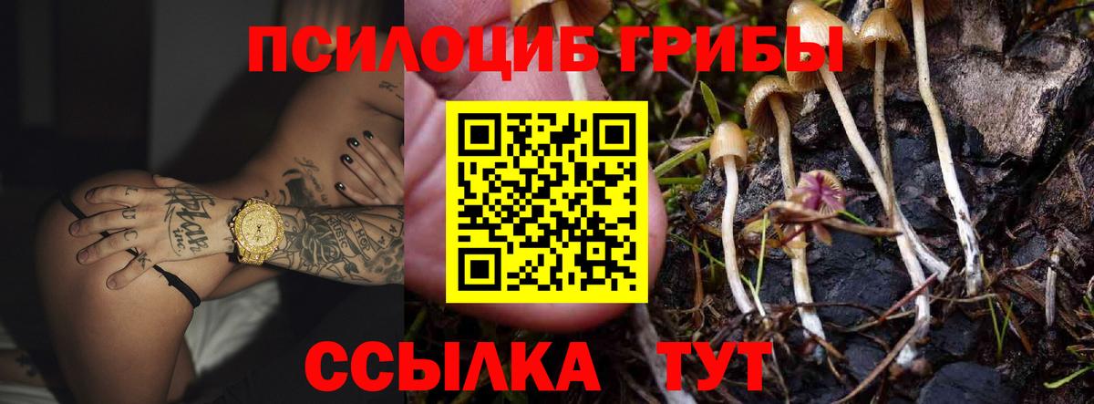 что такое   Вход с VPN  Бирск  Псилоцибиновые грибы ЛСД  Галлюциногенные грибы Psilocybe 