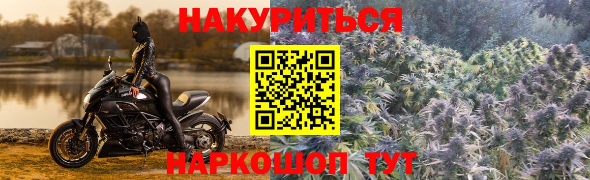 Бошки марихуана OG Kush Бирск